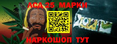 шишки Камышлов