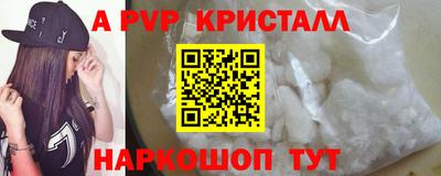 мет Кингисепп