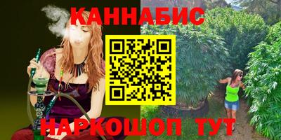 мет Кингисепп