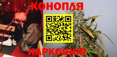 мет Кингисепп