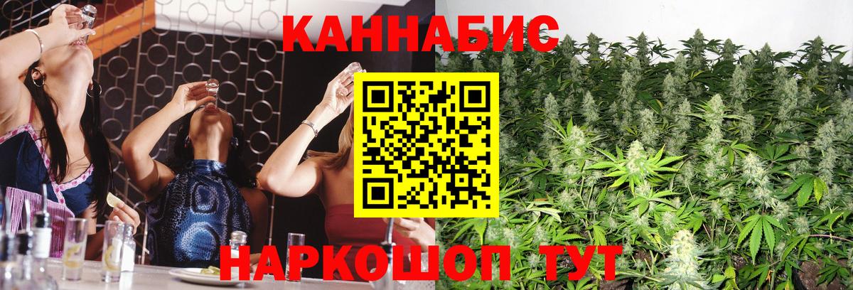 Бошки Шишки Bruce Banner Коряжма